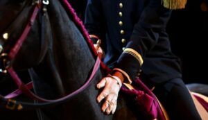 Photographie d'un écuyer du Cadre Noir de Saumur en tenue traditionnelle noire avec des dorures, montant un cheval de selle dans un manège couvert, illustrant un air de haute école (comme une courbette ou un cabré).