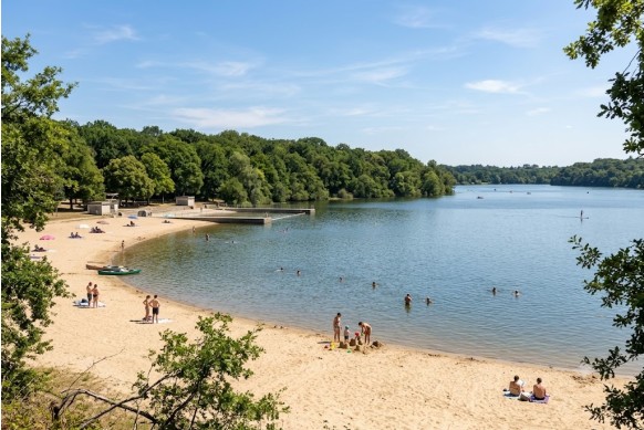 Vue panoramique en plongée d'une plage de sable en fer à cheval au bord du lac de Maine à Angers. Le plan d'eau s'étend à droite sous un ciel bleu clair, bordé d'une forêt dense et verte sur la rive opposée. Plusieurs petits groupes de personnes sont répartis sur la plage : certains se reposent près des arbres (à gauche), d'autres sont près de parasols (au centre-gauche), et une famille construit un château de sable (au centre-droit). Quelques baigneurs nagent dans le lac et un stand-up paddle est visible au loin. Le premier plan est encadré par des branches de chêne feuillues.