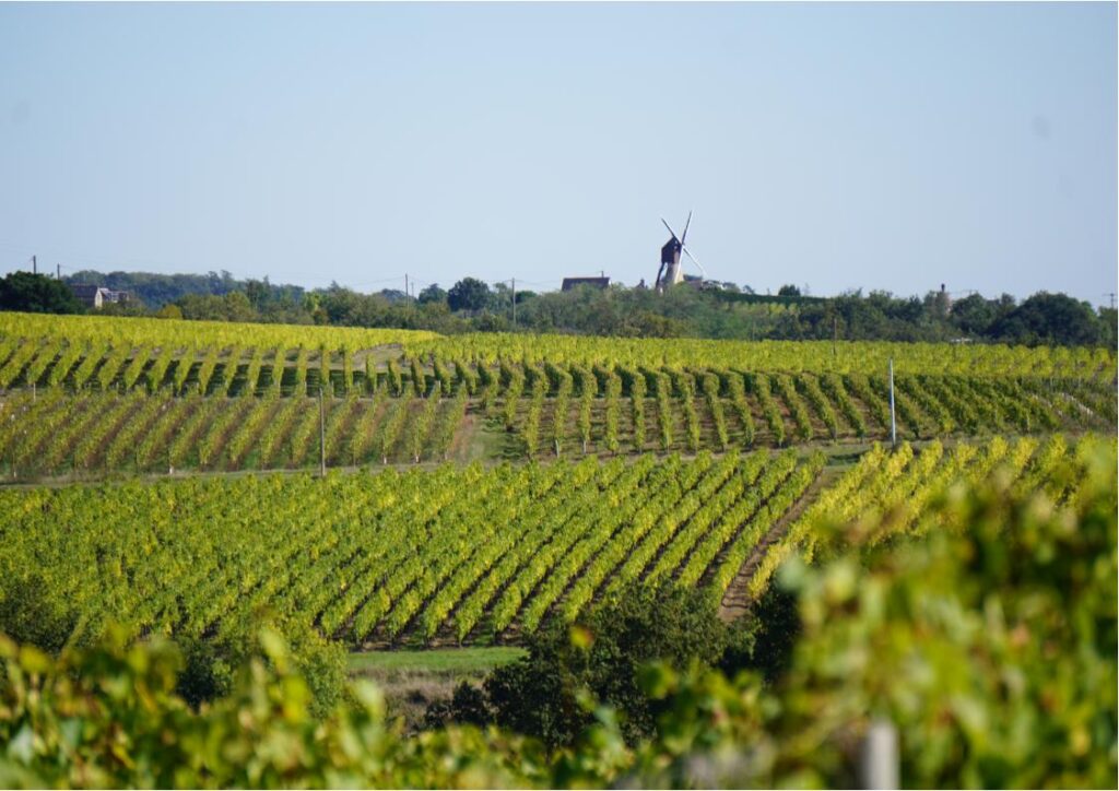 Localisation idéale en Maine-et-Loire du gîte Le Relais de Mont, parfait pour rayonner vers les sites touristiques majeurs de l'Anjou.