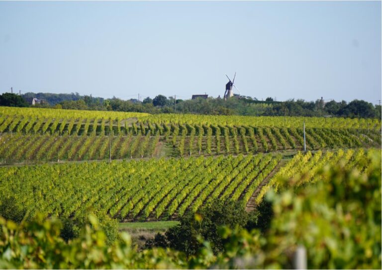 Localisation idéale en Maine-et-Loire du gîte Le Relais de Mont, parfait pour rayonner vers les sites touristiques majeurs de l'Anjou.